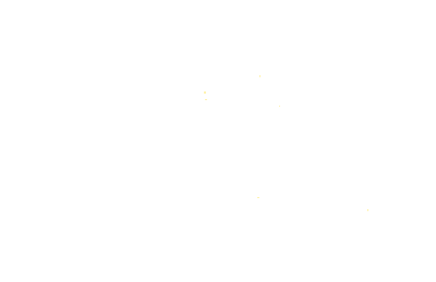 Novagestion